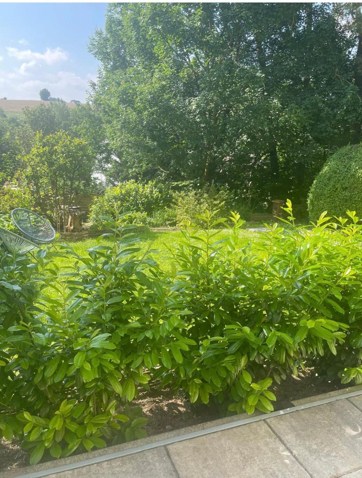 "Zur Gelassenheit" In Jugendstilvilla Sonnenschein Штольберг Экстерьер фото